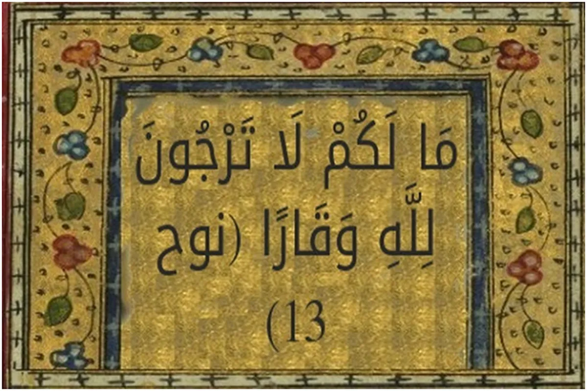 Hujja a cikin salon tarbiyyar Nuhu (AS)