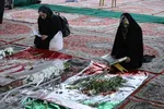 کرسی تلاوت قرآن به یاد شهدای حرم شاهچراغ(ع)