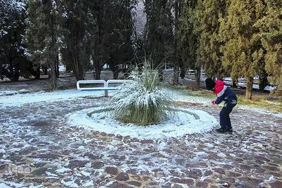 نخستین برف زمستانی در خراسان‌جنوبی