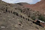 آیین سنتی «نخل‌گردانی» در روستای ابیانه نطنز