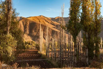 پاییز زیبای طالقان