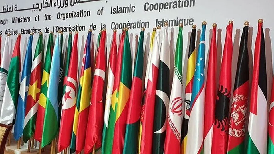 OIC on Quran Desecration: Intl. Law Should Be Used to Stop Religious Hatred