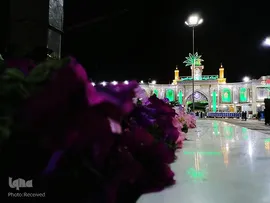 عباس (ع) آمد تا برادری را معنا کند