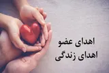 ثبت ۱۹ مورد اهدای عضو در قزوین طی سال گذشته