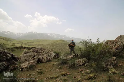 رهاسازی دو گونه ارزشمند و نادر حیات وحش منطقه ارسباران در ارتفاعات شهرستان اهر