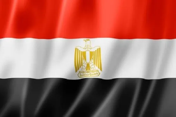 إيقاف أستاذ جامعي في مصر بعد إساءته للقرآن