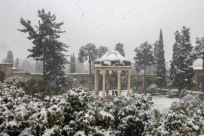 ۱۵ اردیبهشت؛ روز شیراز