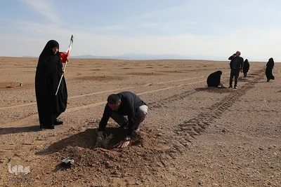 غرس نهال در روز طبیعت