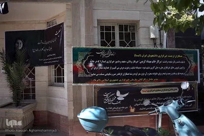 خبرگزاری ایسنا در سوگ فقدان مهشادکریمی، خبرنگار حوزه محیط زیست