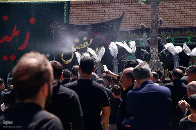 مراسم نخل‌برداری به مناسبت شهادت امام رضا(ع) در یزد‎
