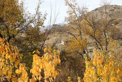 رنگین‌کمان رنگ‌ها در سرزمین ارسباران