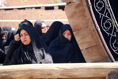 مراسم نخل‌برداری به مناسبت شهادت امام رضا(ع) در یزد‎
