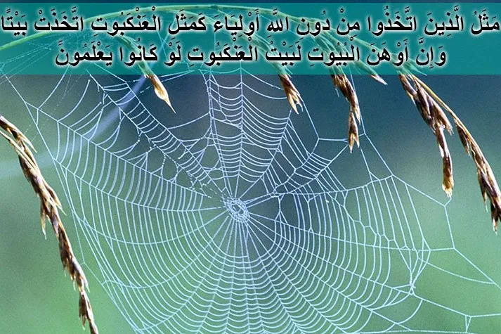 پنج درس راهبردی از سوره عنکبوت