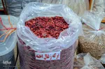 زغال اخته کلیبر از تولید تا فراوری‎‎
