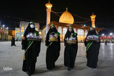 سیب بهشتی‎‎