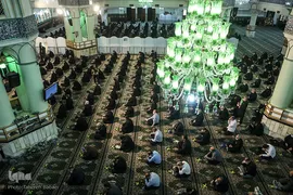 سالروز رحلت حضرت عبدالعظیم حسنی(ع)