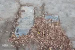 پاییز در قبرستان قدیمی زنجان