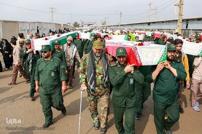 بازگشت لاله‌ها به آغوش وطن