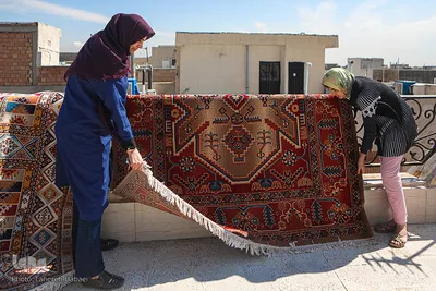 مارال دختر خانواده سيفی کلاس پنجم است. در این روزها به دلیل تعطیلی مدارس در کارِ خانه تکانی به مادرش کمک می‌کند.