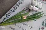 آئین سفره صلوات و محفل انس با شهدای حرم مطهر حضرت شاهچراغ(ع)