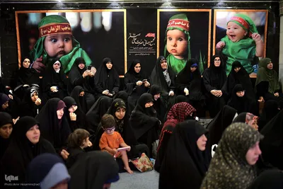 عصر شعر سفینه النجاه با حضور شاعران آئینی در کربلای معلی