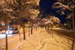 یک روز برفی در شهرستان اهر