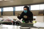 گردش چرخ اقتصاد در منطقه آزاد ارس‎
