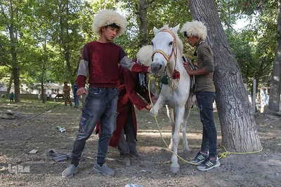 سوارکاران خراسان شمالی در راه مشهد