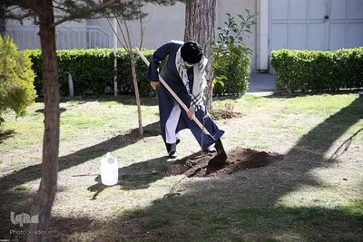 کاشت نهال توسط رهبر انقلاب