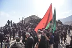 آیین 500 ساله نخل‌گردانی در مهدیشهر‎