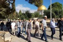 Le Hamas : la célébration du festival juif est la violation de toutes les religions