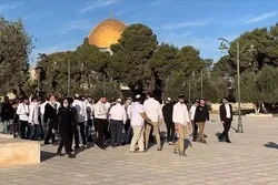 L'OCI condamne la prise d'assaut par les colons israéliens de la mosquée bénie d'Al-Aqsa