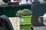 نشست خبری مدیرکل آموزش و پرورش یزد