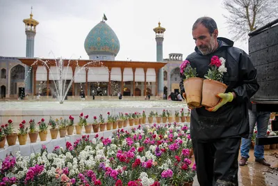 روز شیراز‎