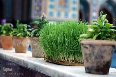 روز طبیعت در تهران
