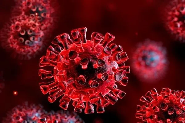 افزایش آمار جان‌باختگان کرونا در محلات