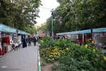 افتتاحیه نهمین دوره جشنواره سراسری ورنی در شهرستان اهر