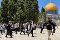 Walowezi wa Kizayuni waendeleza hujuma dhidi ya msikiti mtakatifu wa al-Aqsa