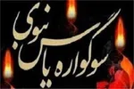 سوگواره «یاس نبوی» در ۵ بقعه شاخص ملایر برگزار می‌شود