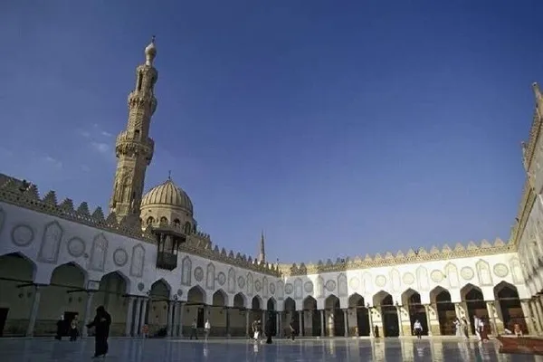 واکنش الازهر به اخراج اسلام‌ستیزان دانمارکی از بلژیک