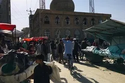 افغانستان میں شیعہ مسلمانوں کے قتل عام پر  افغان عالم دین کا غم انگیز بیان