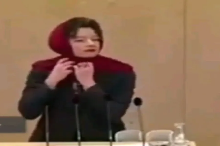 فیلم/ اقدام تحسین‌برانگیز نماینده اتریشی نسبت به قانون منع حجاب