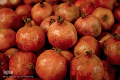 یلدای شیرین ۲۰۰۰خانواده طرح «هم نمک» مؤسسه خیریه متوسلین به امام رضا(ع)