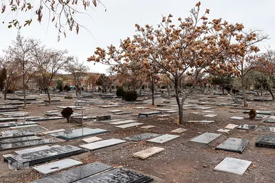 پاییز در قبرستان قدیمی زنجان