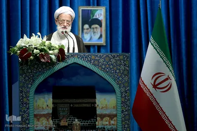 آیت الله محمد امامی کاشانی، عضو مجلس خبرگان رهبری