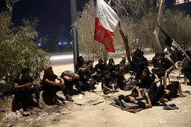 عشاق الحسین(ع) در طریق کربلا