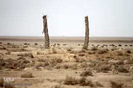کمترین تحریری از یک زندگانی