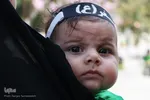 علی‌اصغر‌های اصفهان در آغوش مادران سوگوار