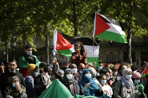 UN Experts Urge States to Allow Pro-Palestine Protests Amid Israeli Atrocities