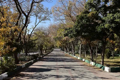 طبیعت پاییزی تبریز